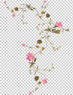 some pink flowers and green leaves on a white background png, clipartion