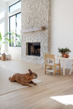 a dog laying on the floor in front of a fireplace