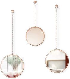 three round mirrors hanging from chains on the wall, one with a plant in it