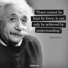 albert einstein quote about peace cannot be kept by force it can only be achieved by underhanding