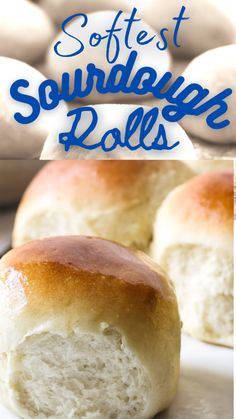 the best softest sourdoughs rolls recipe is made with only three ingredients