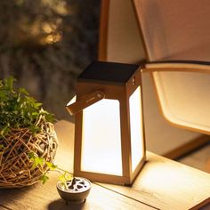 a small light sitting on top of a wooden table next to a potted plant