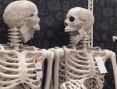 two human skeletons sitting side by side in front of a wall with price tags on it