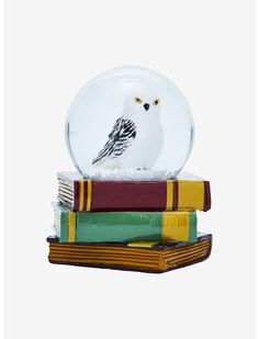 a snow globe sitting on top of books with a bird in it's head