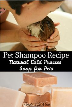 a person holding a small bird in their hand next to soap bars and the words pet shampoo recipe natural cold process soap for pets