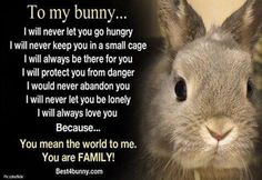 a rabbit with the caption to my bunny i will never let you go hungry