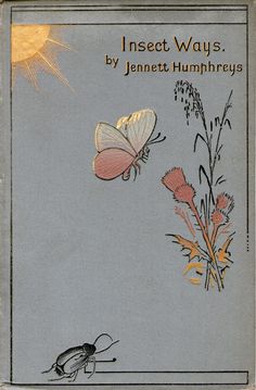 an insect flying over a flower with the caption insect ways by jennyett humphrey