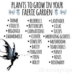 an image of plants to grow in your faerie garden