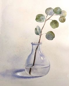 a watercolor painting of a vase with a plant in it on a white background