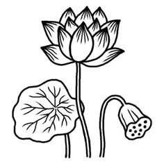 a drawing of a flower with leaves