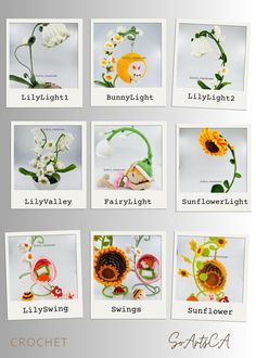 eight different pictures of flowers with names on them, all in white and orange colors