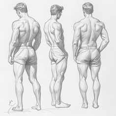 Male Drawings Face, Corsets Drawing Reference, Back Of Man Drawing, How To Draw A Male Torso, Male Body Drawing Muscle, Men Anatomy Drawing Body Reference, Man Standing Drawing, Leg Poses Drawing, Male Back Drawing Reference