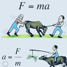 a man pulling a dog on a leash with the words f = ma and f = m