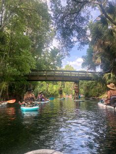 several people in canoes paddling down a river under a bridge with trees on both sides