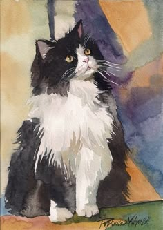 a watercolor painting of a black and white cat sitting on top of a table