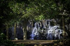 a waterfall is surrounded by trees and rocks in the forest at night with light coming from it