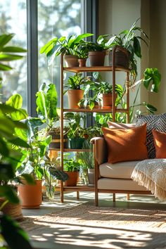 a living room filled with lots of potted plants