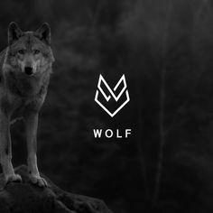 a wolf standing on top of a rock in front of some trees and the words wolf