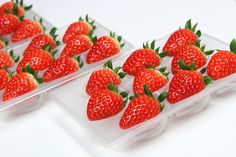 two plastic trays filled with strawberries on top of a white table next to each other