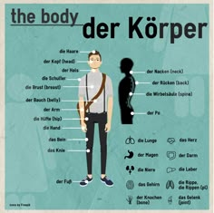 the body of a man with different parts labeled in german and english on a blue background