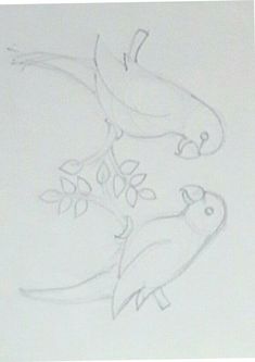 a drawing of two birds sitting on a tree branch