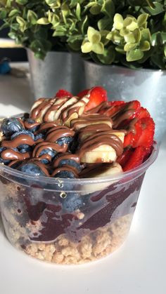 a dessert in a plastic container with chocolate and strawberries on top, next to a potted plant