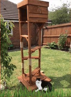 a cat sitting in the grass next to a wooden tower