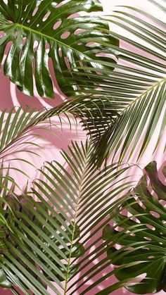 a palm tree with the words travel is always good idea in white lettering on a pink background