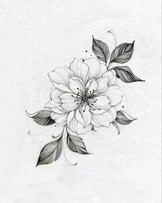 a black and white drawing of a flower with leaves on the bottom half of it