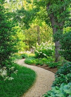 a garden path surrounded by lush green trees