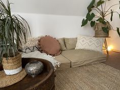 a living room filled with lots of plants next to a couch and coffee table on top of a rug