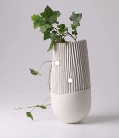 a white vase with some green plants in it