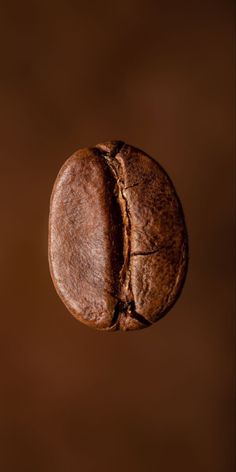 a close up of a coffee bean on a brown background