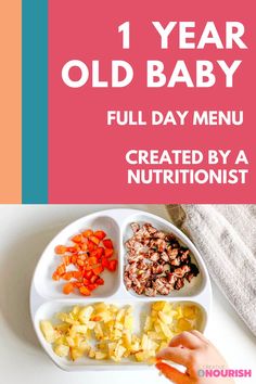 Healthy Food For 1 Year Baby, Baby Food Recipes 1 Year, Foods For 1 Year Baby, Baby Food For 1 Year, Baby Recipes 1 Year, Healthy Meals For 1 Year Baby, 1 Year Food Ideas, Breakfast Ideas 1 Year, Baby Dinner Ideas 1 Year