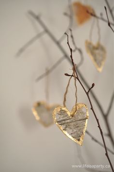 two heart shaped ornaments hanging from a twig