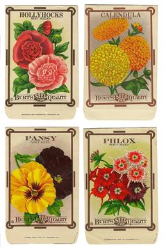 four different types of flowers are shown in this set, each with their own name