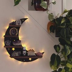 a shelf with candles and other items on it next to a potted plant in the corner