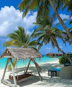 a hammock on the beach with palm trees