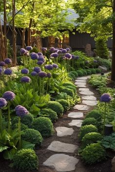 a garden with purple flowers and green plants