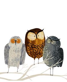 three owls sitting on top of a tree branch