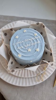 a blue cake sitting on top of a white plate