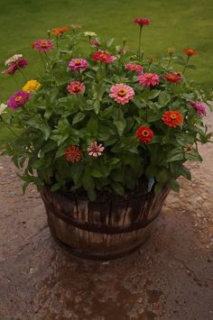 a wooden barrel filled with lots of flowers