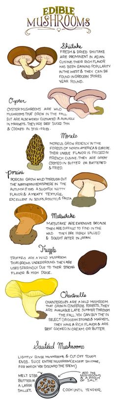 the different types of mushrooms are shown in this diagram, and there is also an info sheet