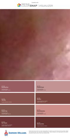 an image of the colors in this web page are brown, pink, and red