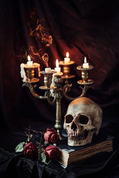 Antique Candle Sticks, Vampire Aesthetic, Goth Home, Gothic Aesthetic, Witch Aesthetic, Dark Photography, A Skull, Memento Mori