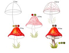 three different types of mushrooms are shown in this drawing technique, with the corresponding colors and sizes