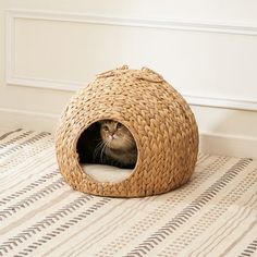 a cat sitting in a woven bed on the floor