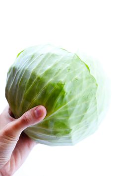 a hand holding a cabbage in front of a white background