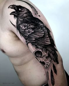 a black bird sitting on top of a skull