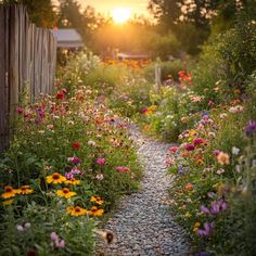 the sun is setting over a garden with flowers and gravel path leading to a wooden fence